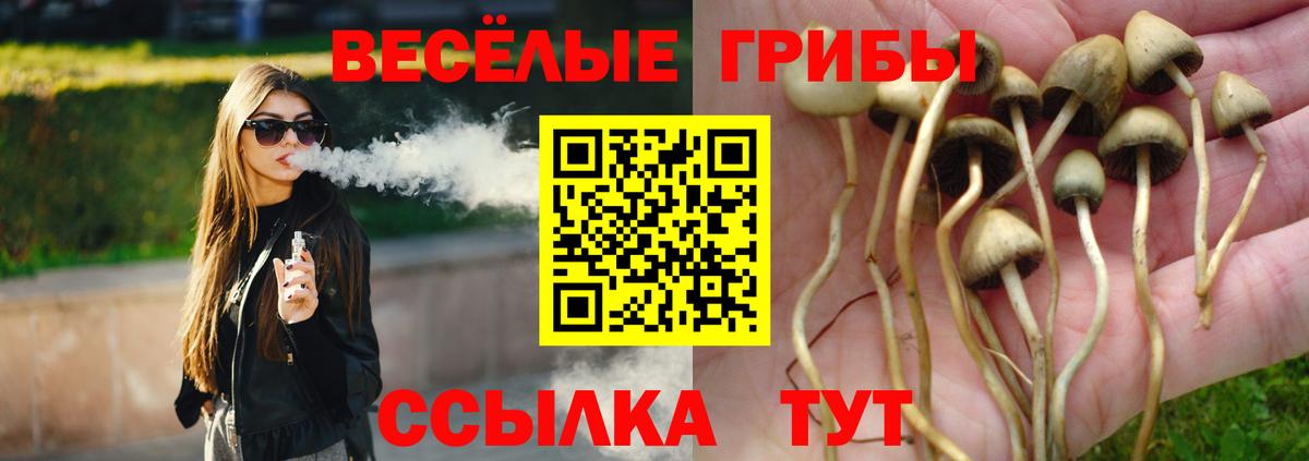 Псилоцибиновые грибы ЛСД  Вход с VPN  сколько стоит  Чебоксары  Галлюциногенные грибы GOLDEN TEACHER 